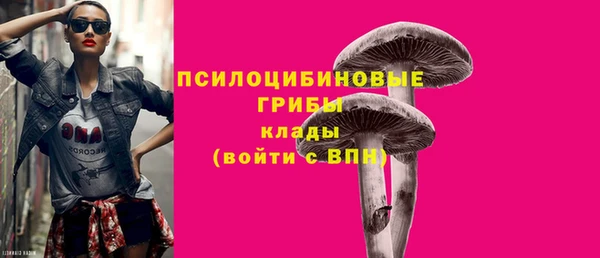 твердый Абинск
