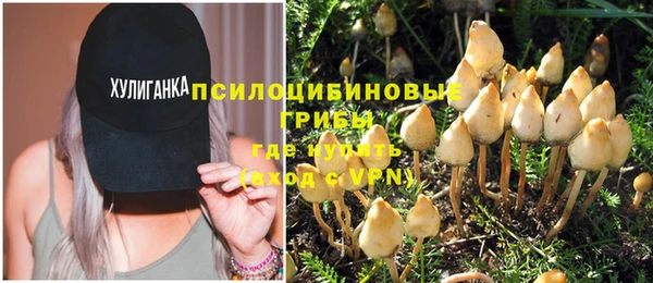 твердый Абинск