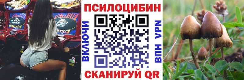 Псилоцибиновые грибы мицелий где можно купить Лангепас